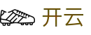 开云 - Kaiyun官方网站 - 开云平台首页入口